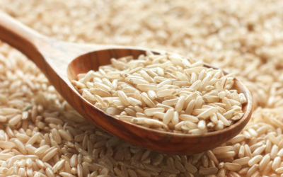 Human genes engineered into GMO rice are being grown in Kansas
