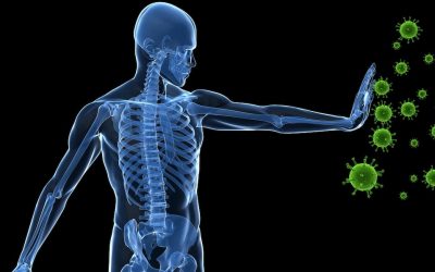 Research shows fasting regenerates damaged immune systems