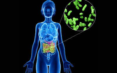 The Truth About Artificial Sweeteners / A slow Killer