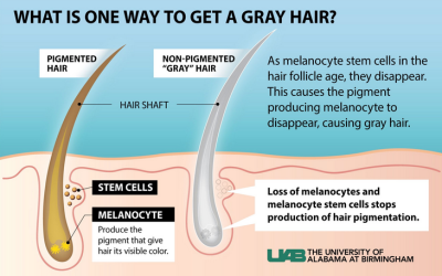 The Science Behind Gray Hair and How to Hack it Naturally
